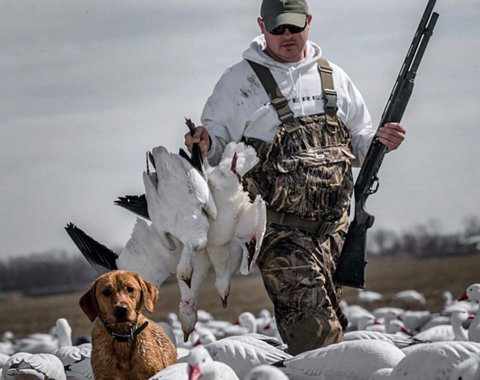 Love light geese but hate crowds? Look for offbeat locations far from mainstream spring hotspots. Photo © Brandon Martin