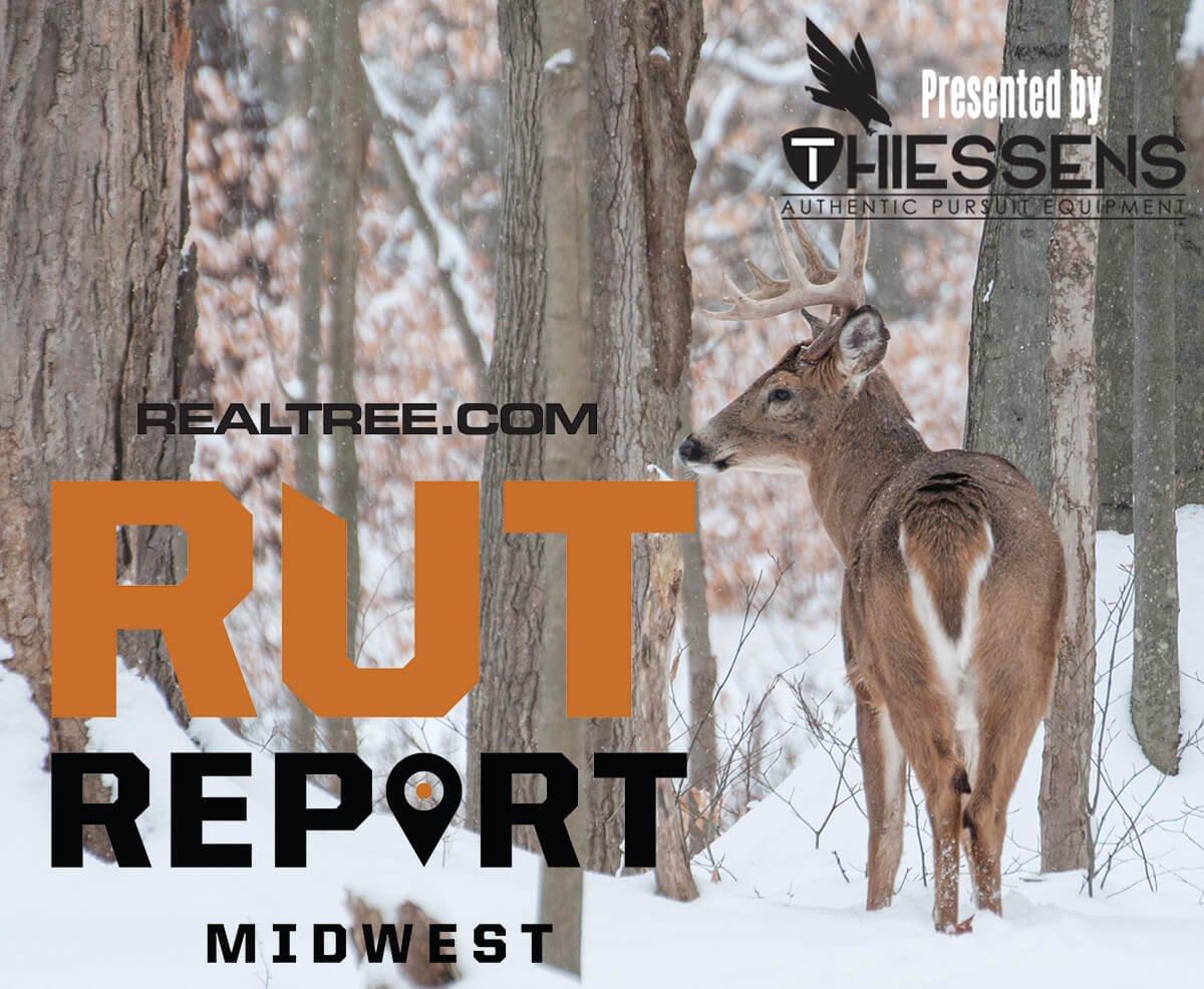 Midwest Rut Report A Few Pockets of Remaining Rut Activity Realtree Camo