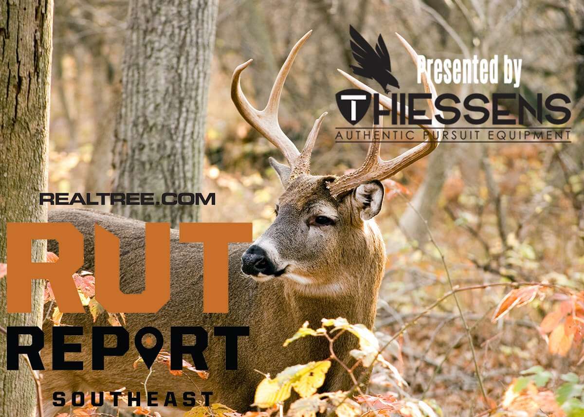 Southeast Rut Report: Post-Rut for Some, Red-Hot Action for Others ...