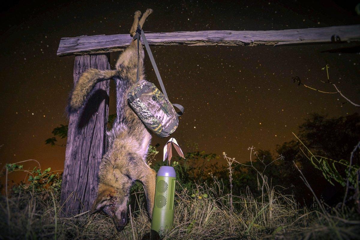 Hunting at night can be one of the most effective ways to take coyotes. (© Byron South courtesy photo)