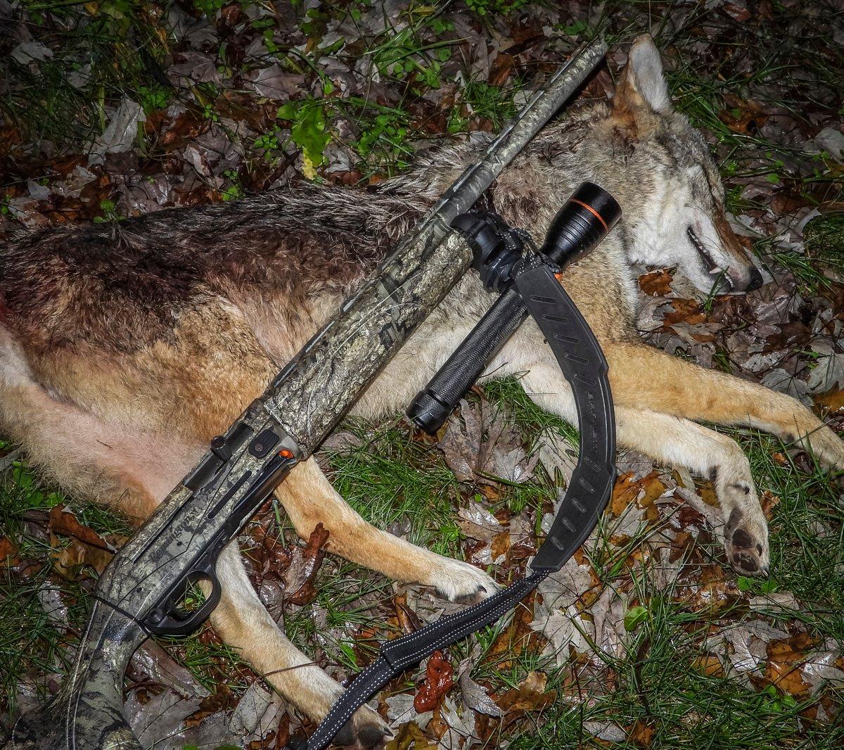 Calling predators at night is similar to calling during daylight hours. (© Michael Pendley photo)