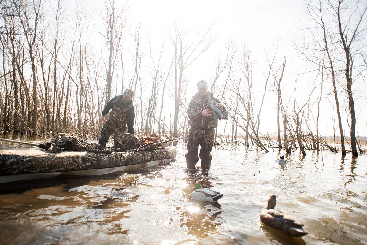 Hunters can probably expect a higher percentage of adult birds in the 2018-'19 flight. Photo © Craig Watson