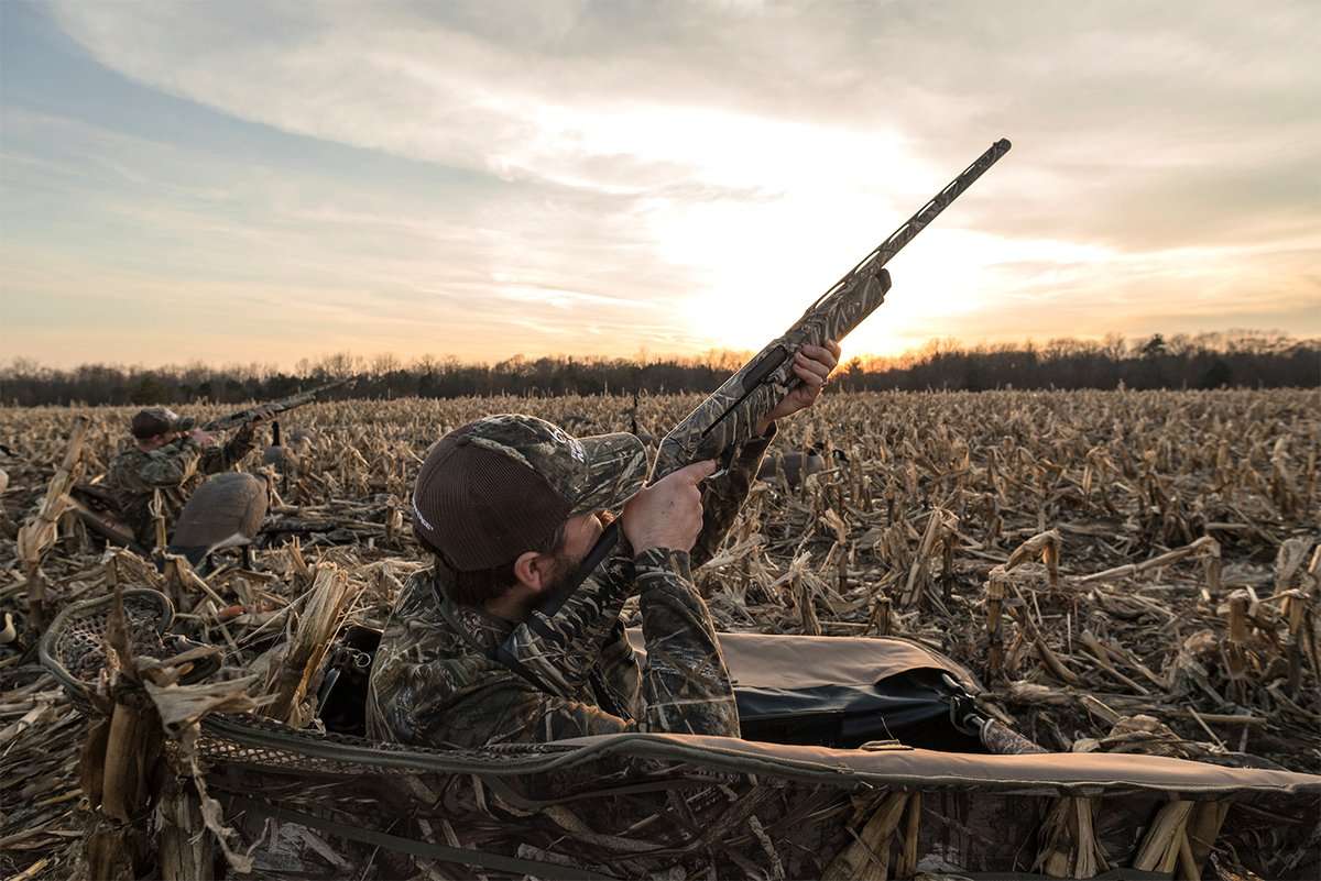 A・B・フロスト、「DUCK SHOOTING FROM A BLIND」 ccraigwatson-waterfowl-