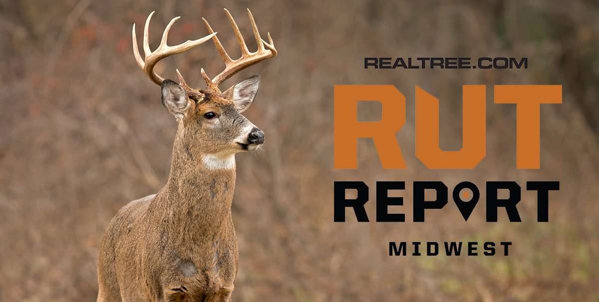 Midwest Rut Report: The End of Lockdown Is in Sight - cdean_bouton-shutterstock-mw
