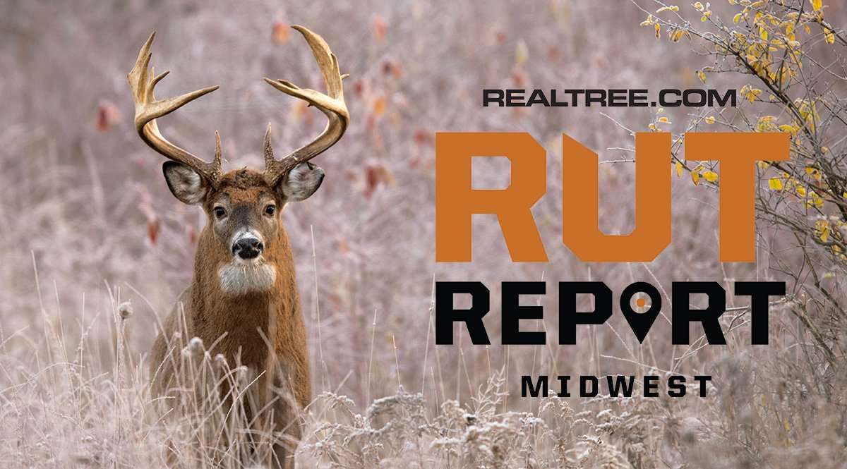 Midwest Rut Report: Lockdown Over, Scrapes Reopening - Realtree Camo