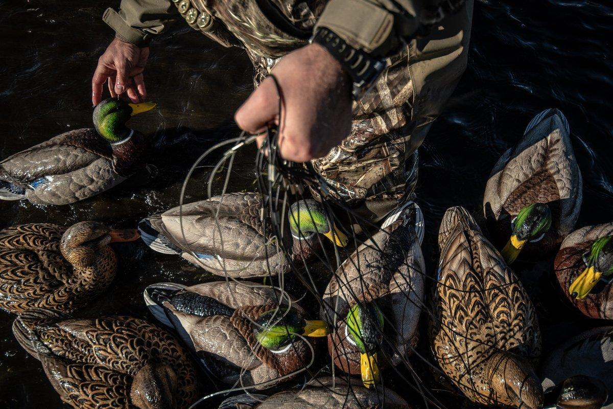 Don't handicap your hunt before it starts. Set a realistic, common-sense spread that attracts birds and produces quality shots. Photo © Forrest Carpenter