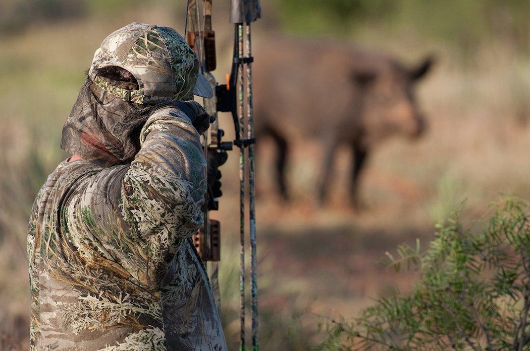 Bowhunting hogs is challenging, but fun. (Russell Graves photo)