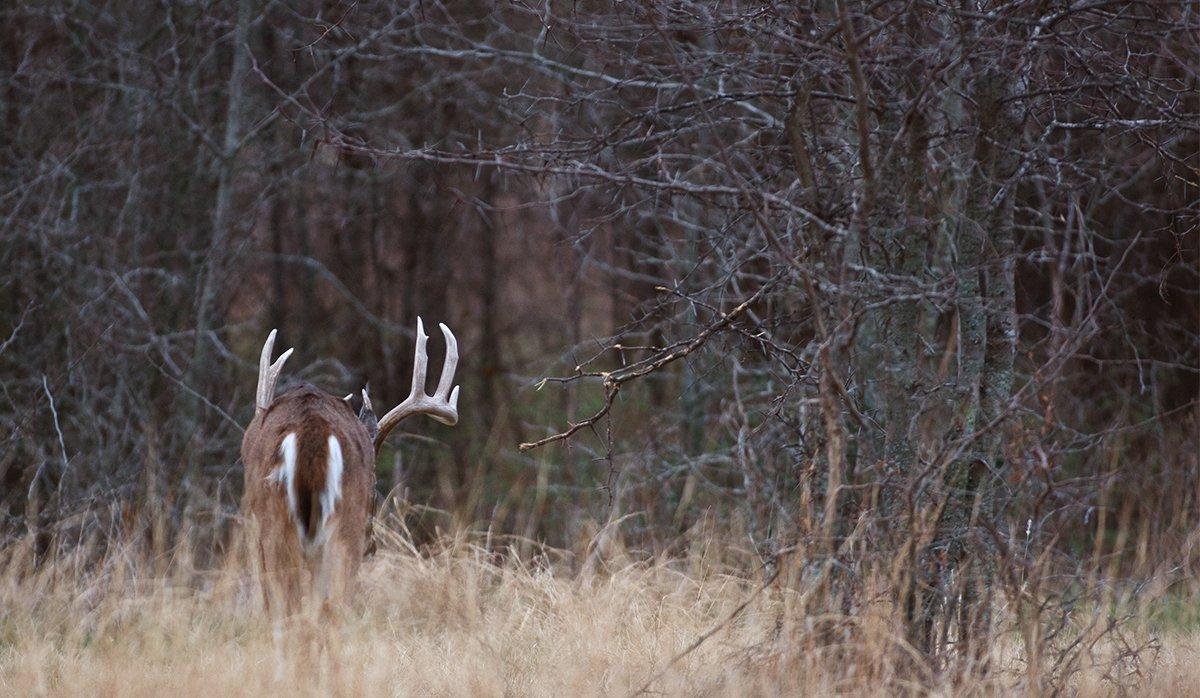 What state would you choose to hunt for a Booner buck? (Russell Graves photo)