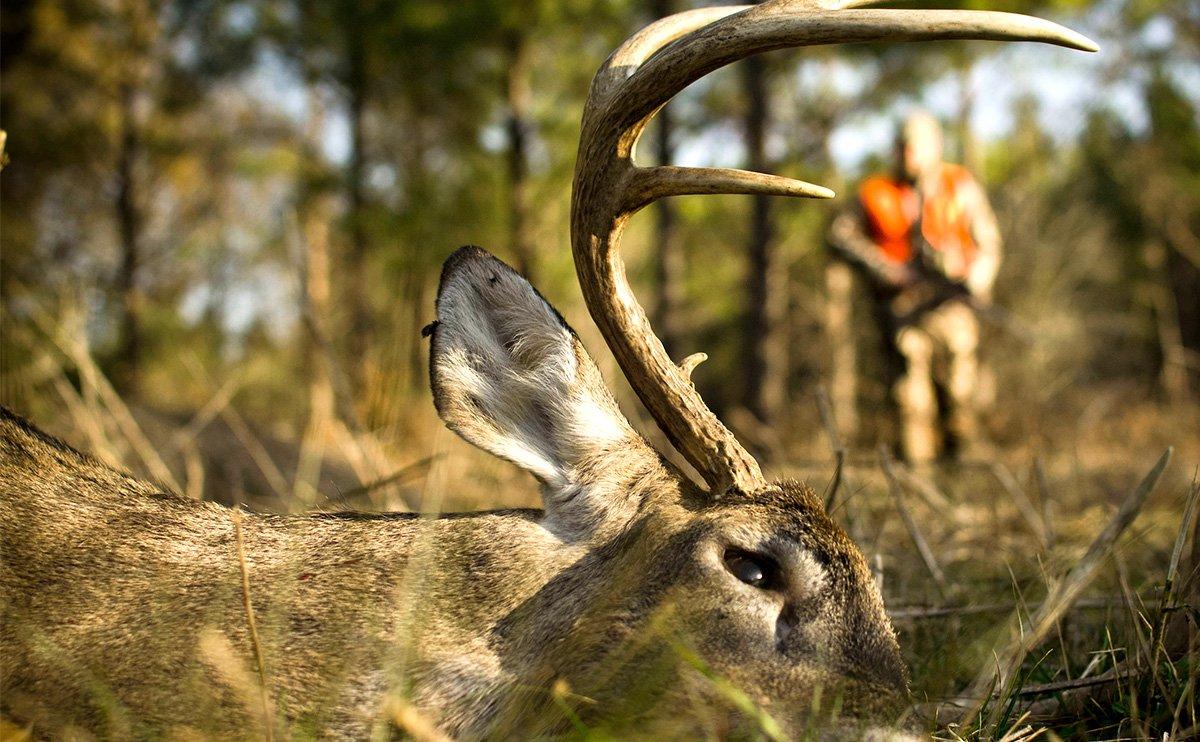 Ground shrinkage? It just means you were excited. Embrace it, and have fun. (John Hafner Image)