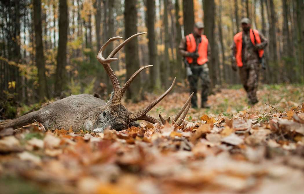The Great Debate: Firearms Hunting Seasons During the Rut - Realtree Camo