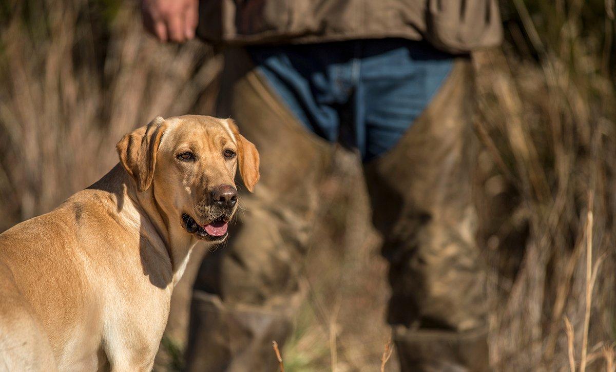 Sometimes, we ignore training lapses during the haze of a hunt. That's a big mistake. Photo © John Hafner