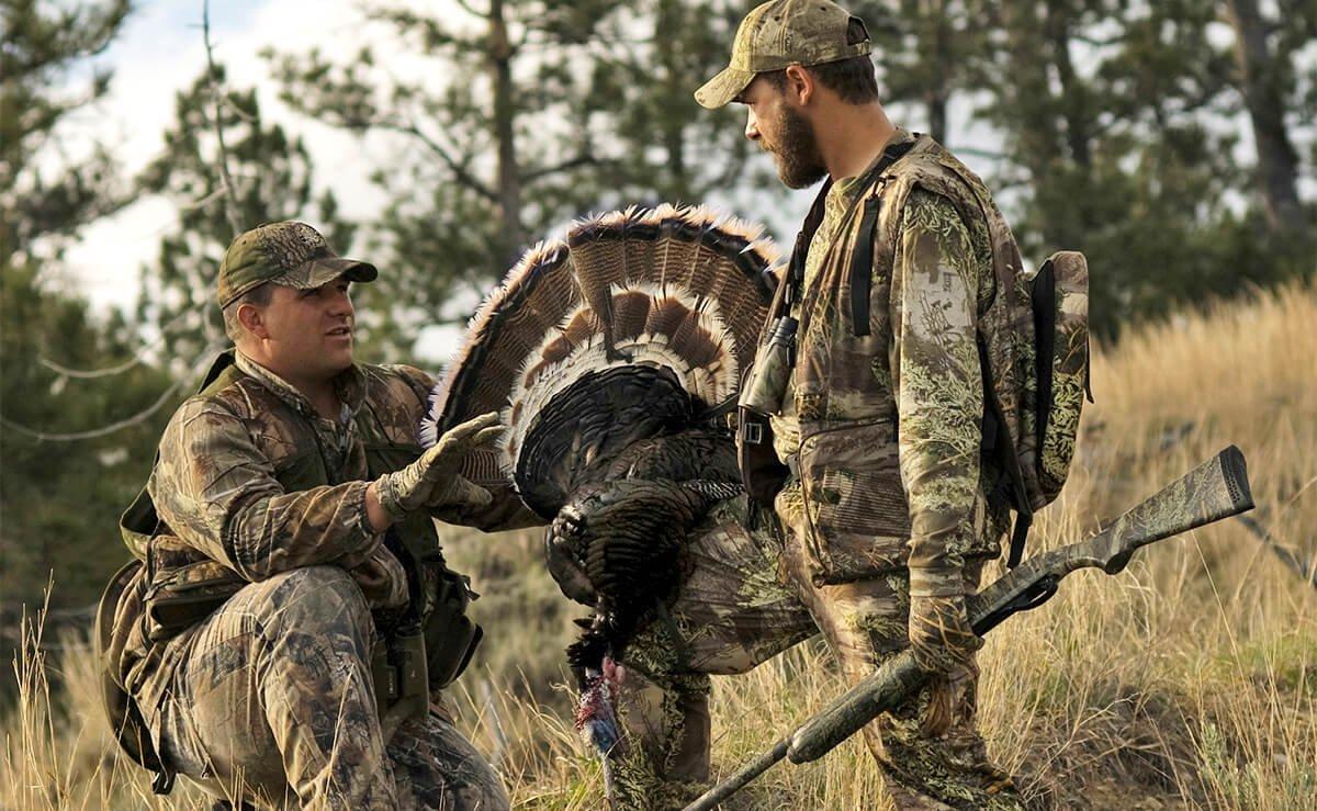 According to sources, Montana has the largest Merriam's turkey population in the Rocky Mountain West. © John Hafner photo