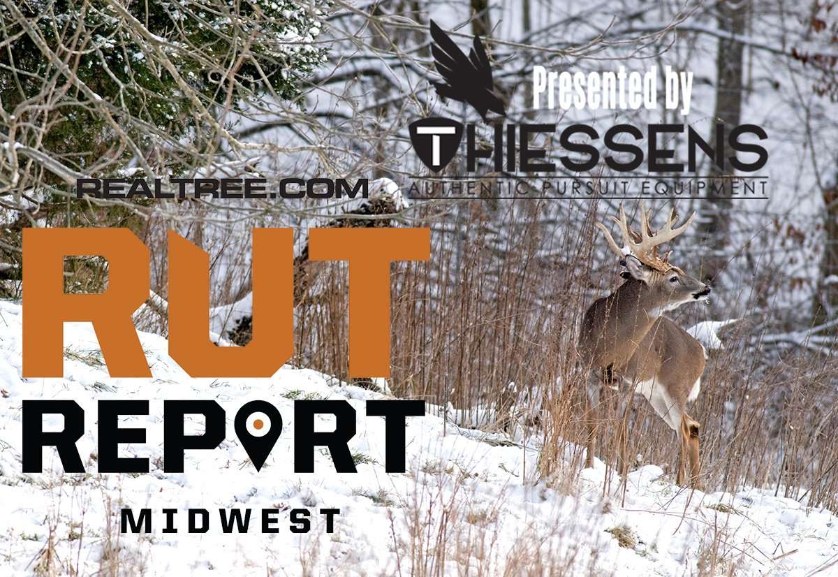 Mid Week Rut Image Midwest Rut Report: Deer Season in Review - Realtree Camo