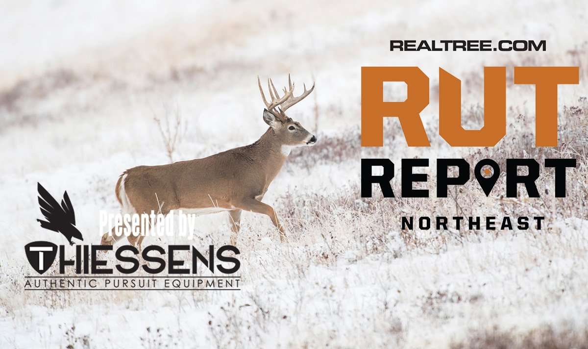 Northeast Rut Report: The Final 2019 Report - chafner-ne