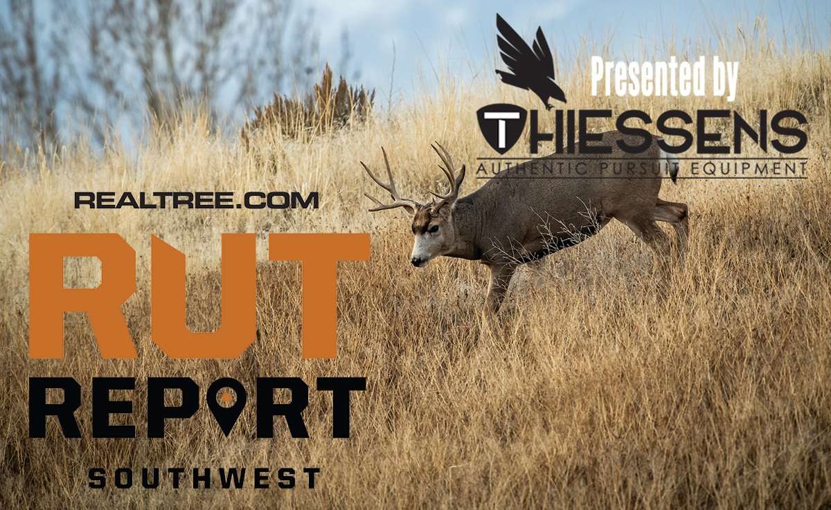 Southwest Rut Report: Rut Kicking in Select Spots - chafner-sw