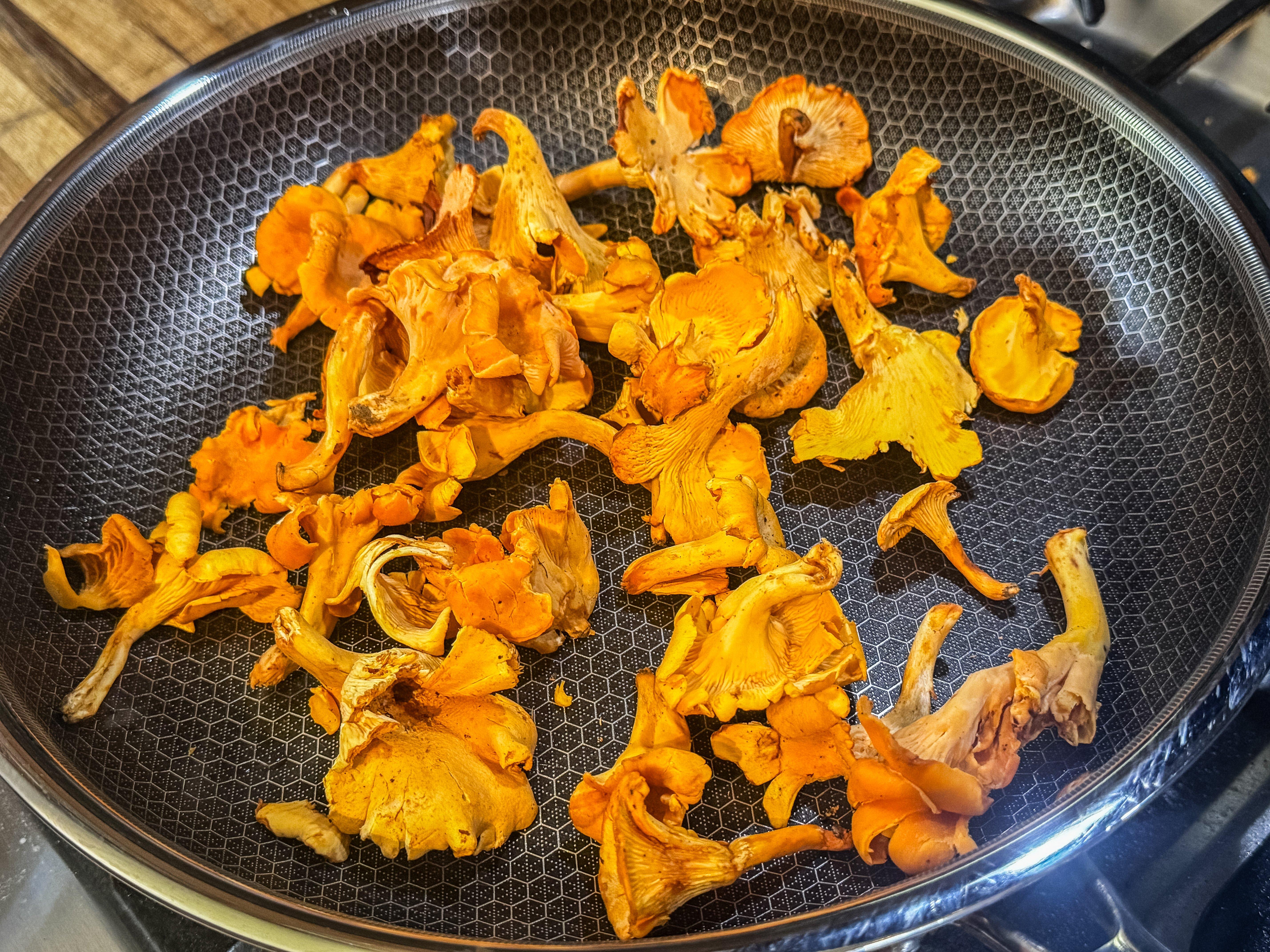 Image: chanterelle_creamy_1