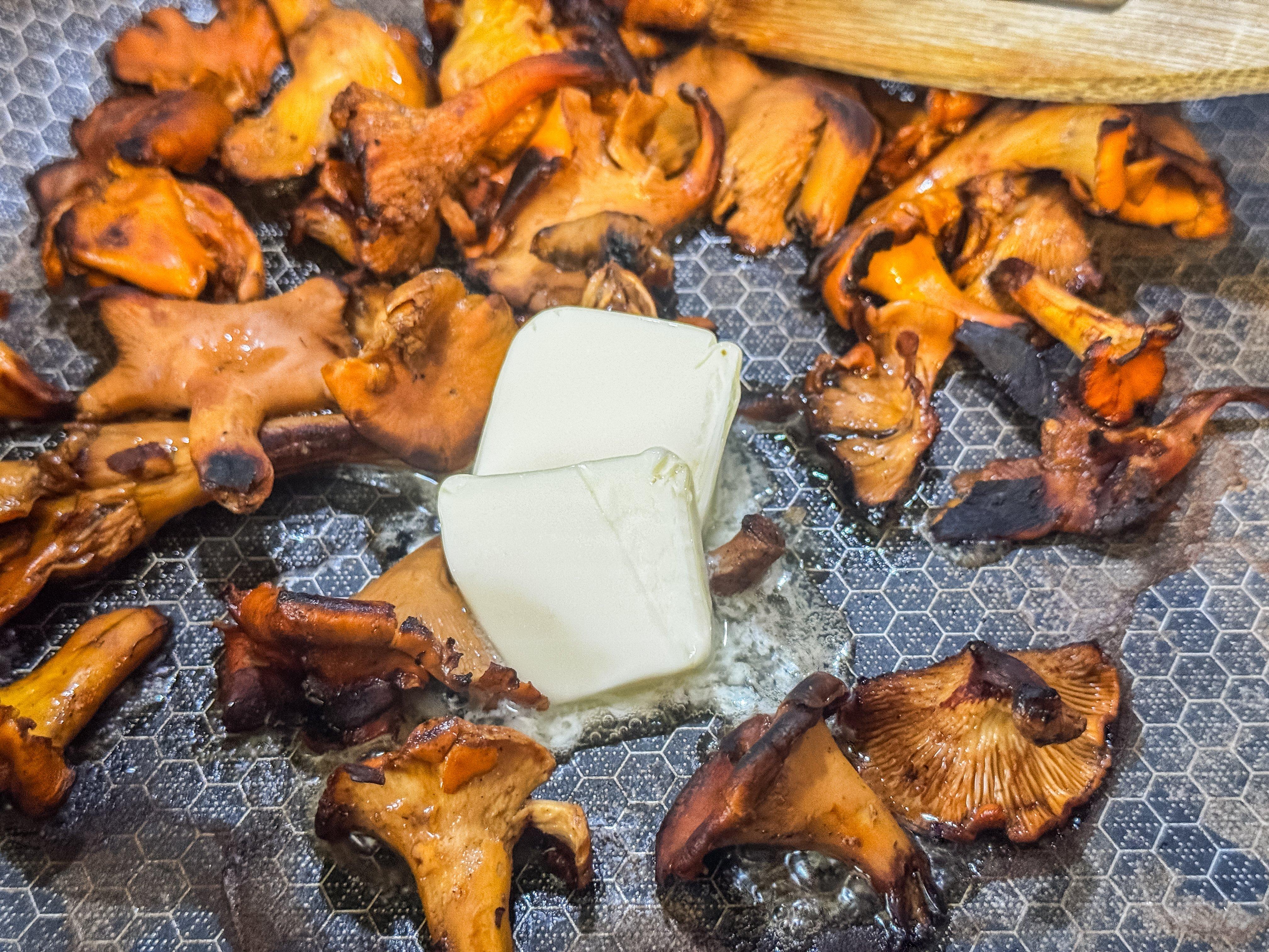 Image: chanterelle_creamy_3