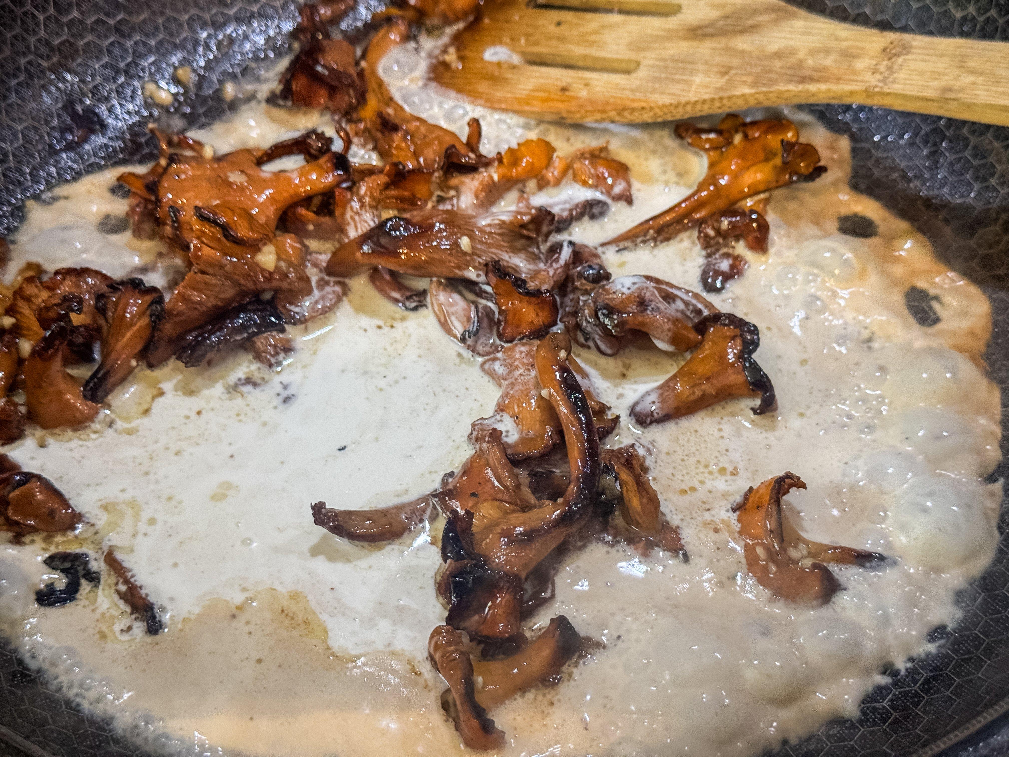 Image: chanterelle_creamy_4