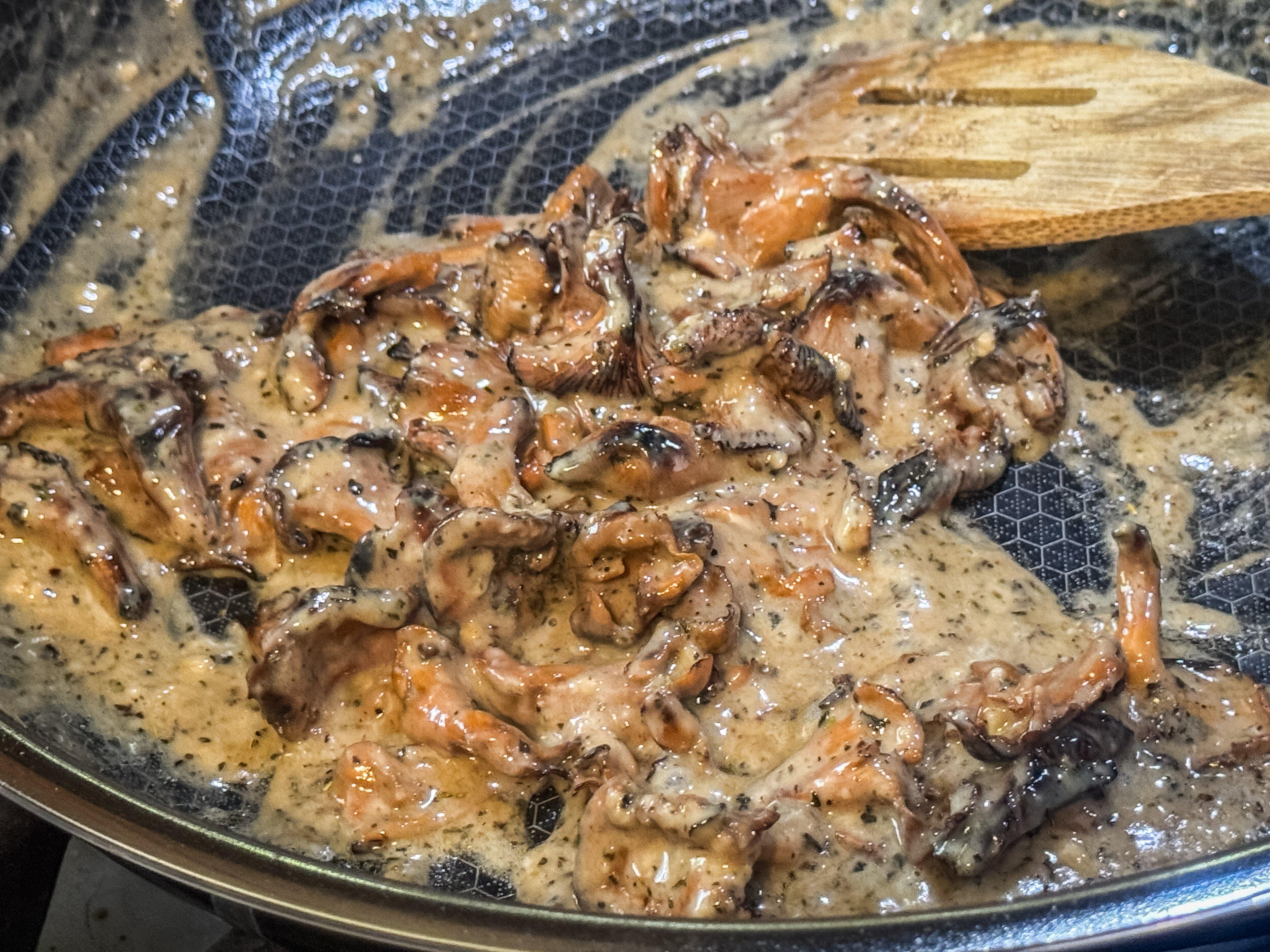 Image: chanterelle_creamy_5