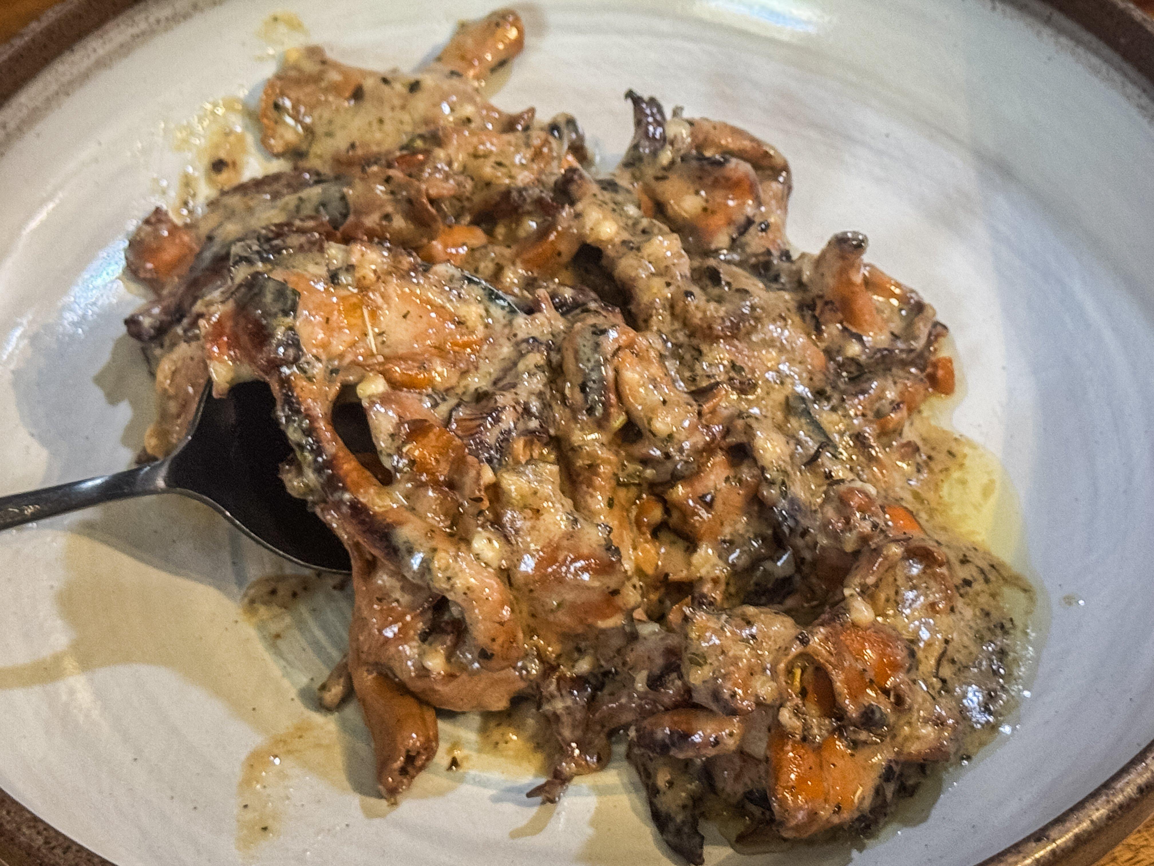 Image: chanterelle_creamy_6