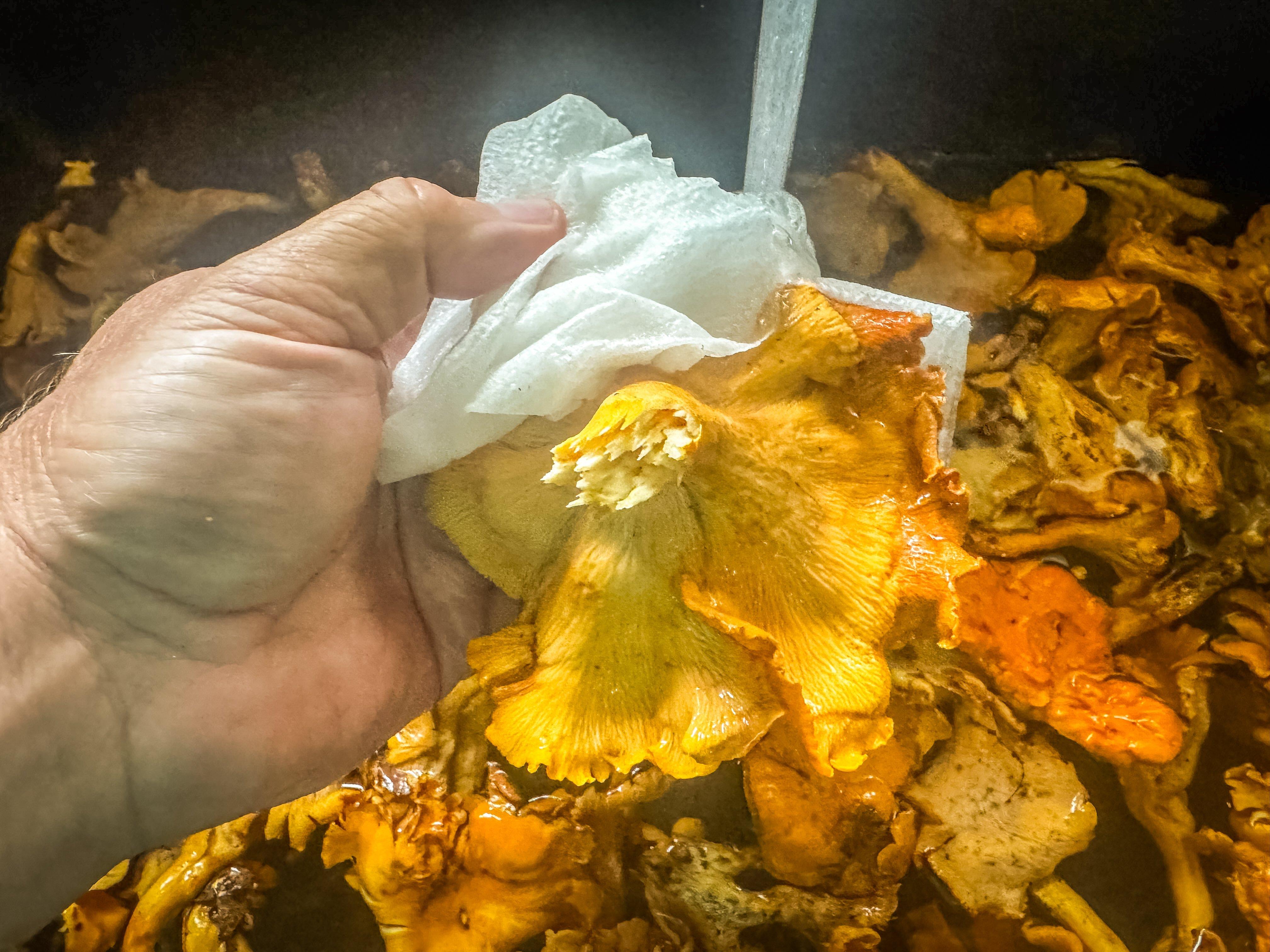 Image: chanterelle_soup_3