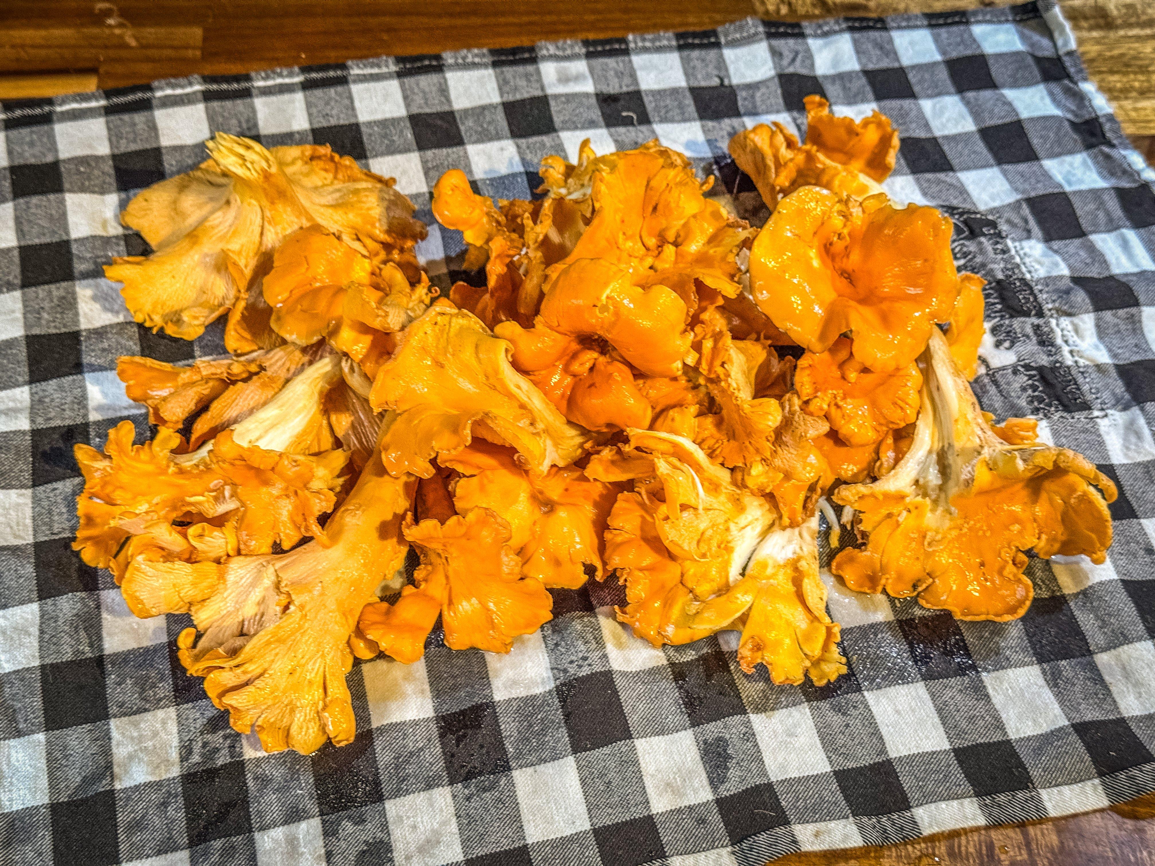 Image: chanterelle_soup_4