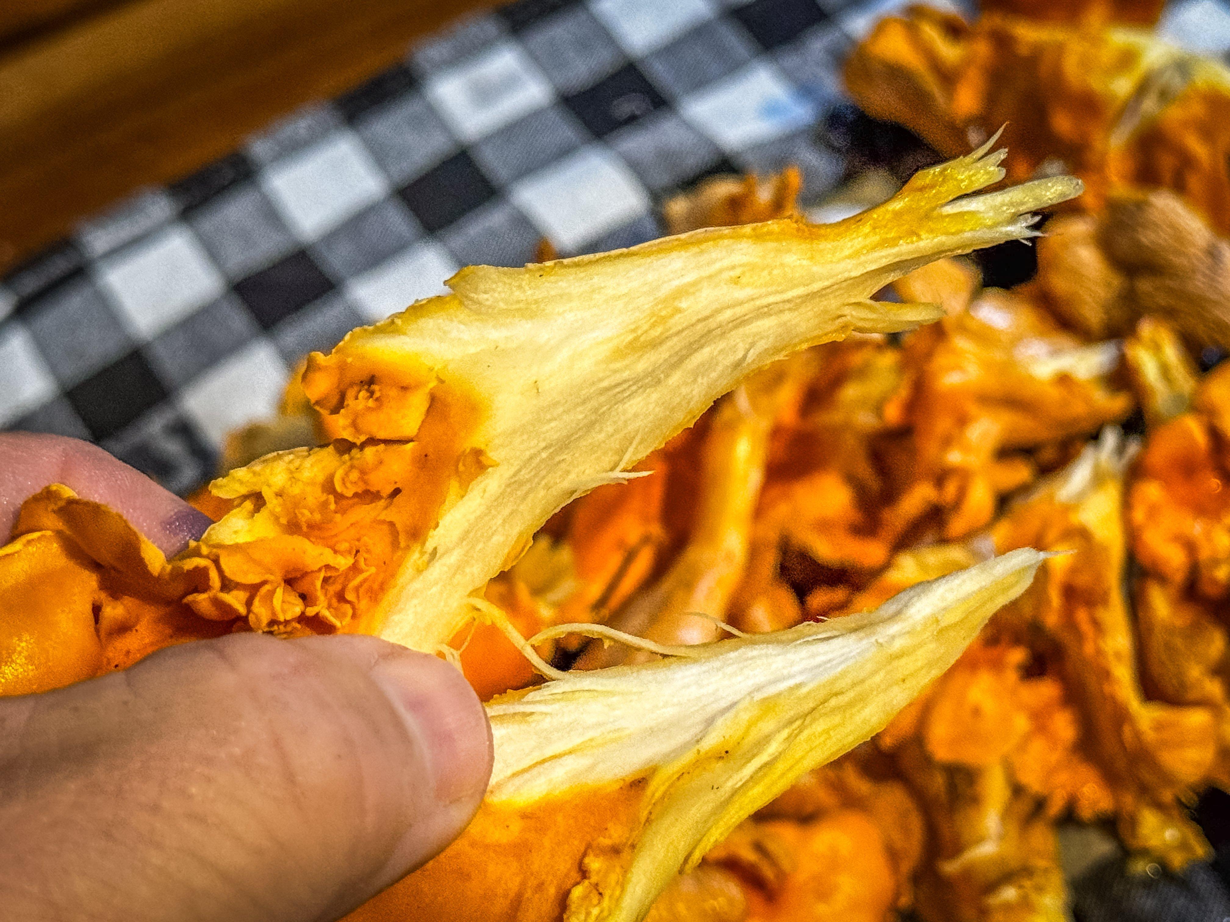 Image: chanterelle_soup_5