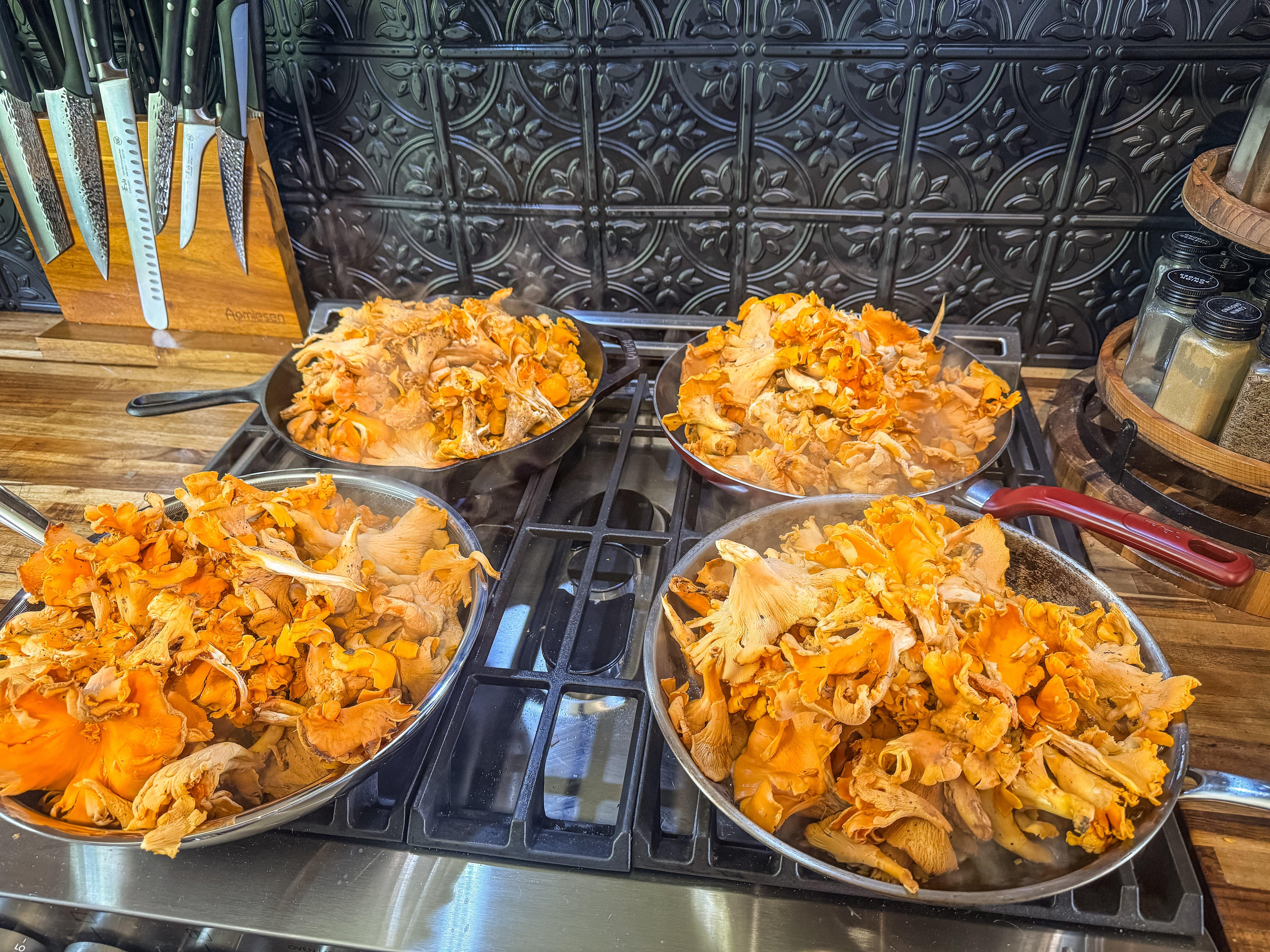 Image: chanterelle_storage_2