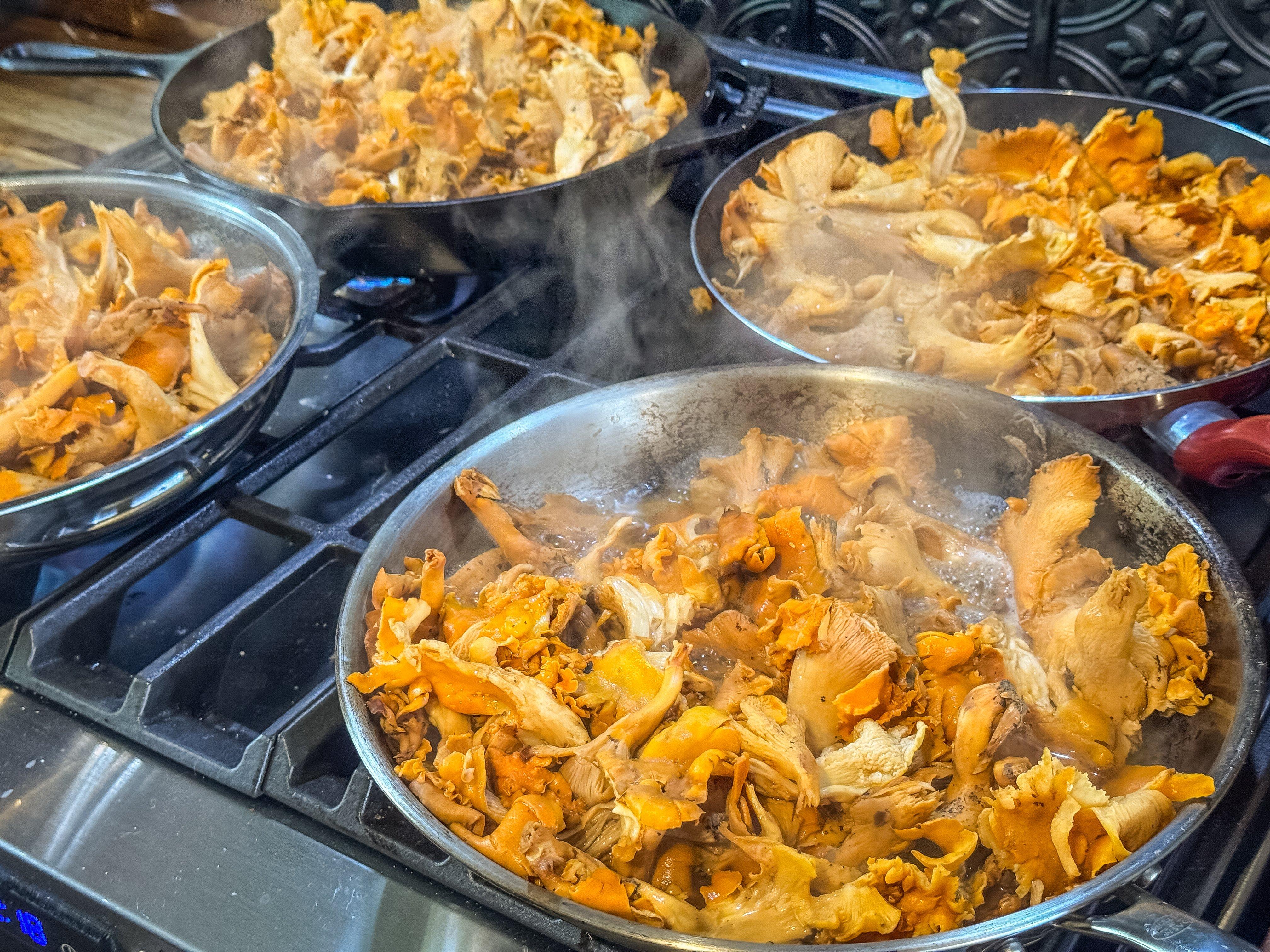 Image: chanterelle_storage_3