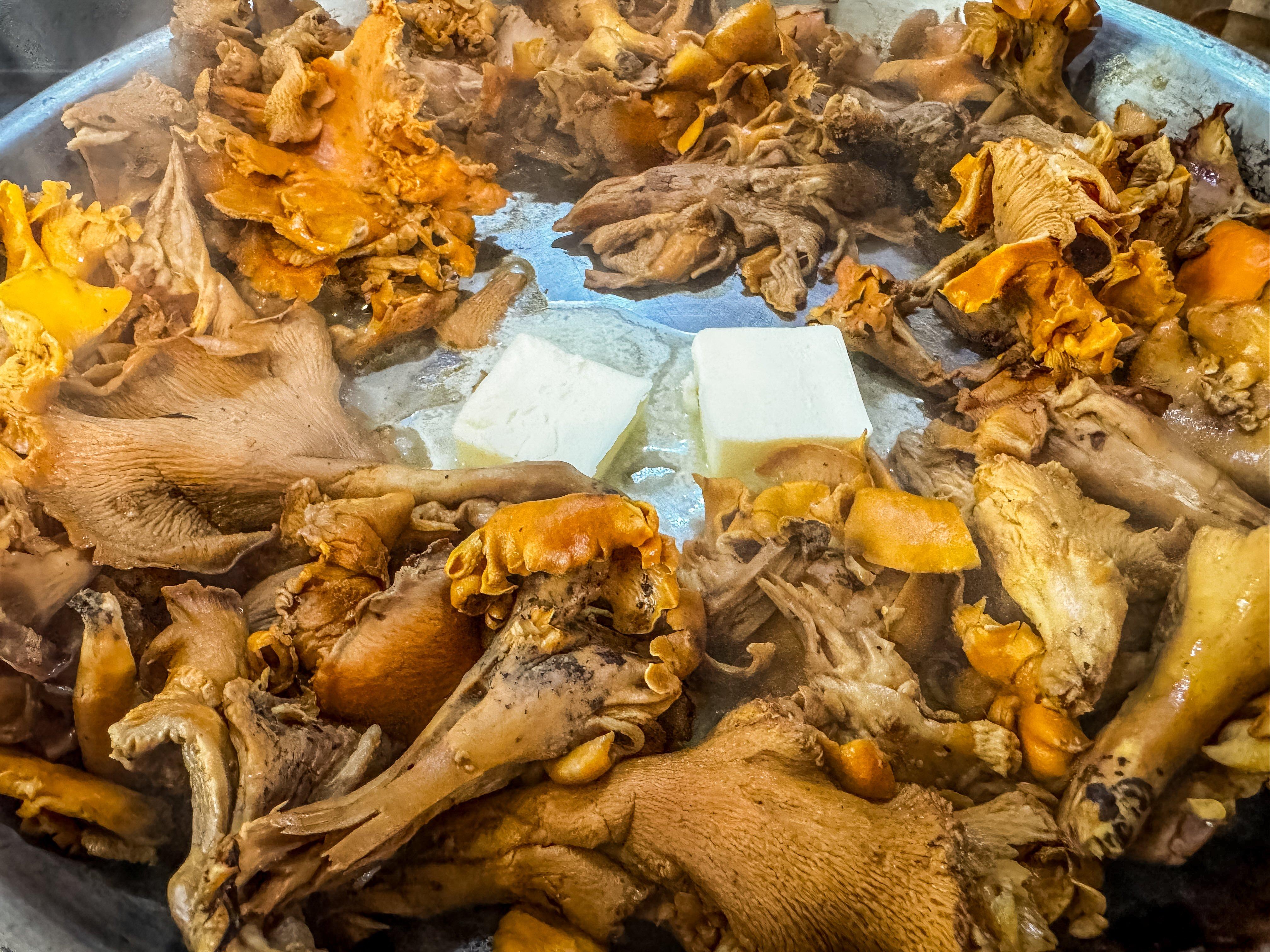 Image: chanterelle_storage_4