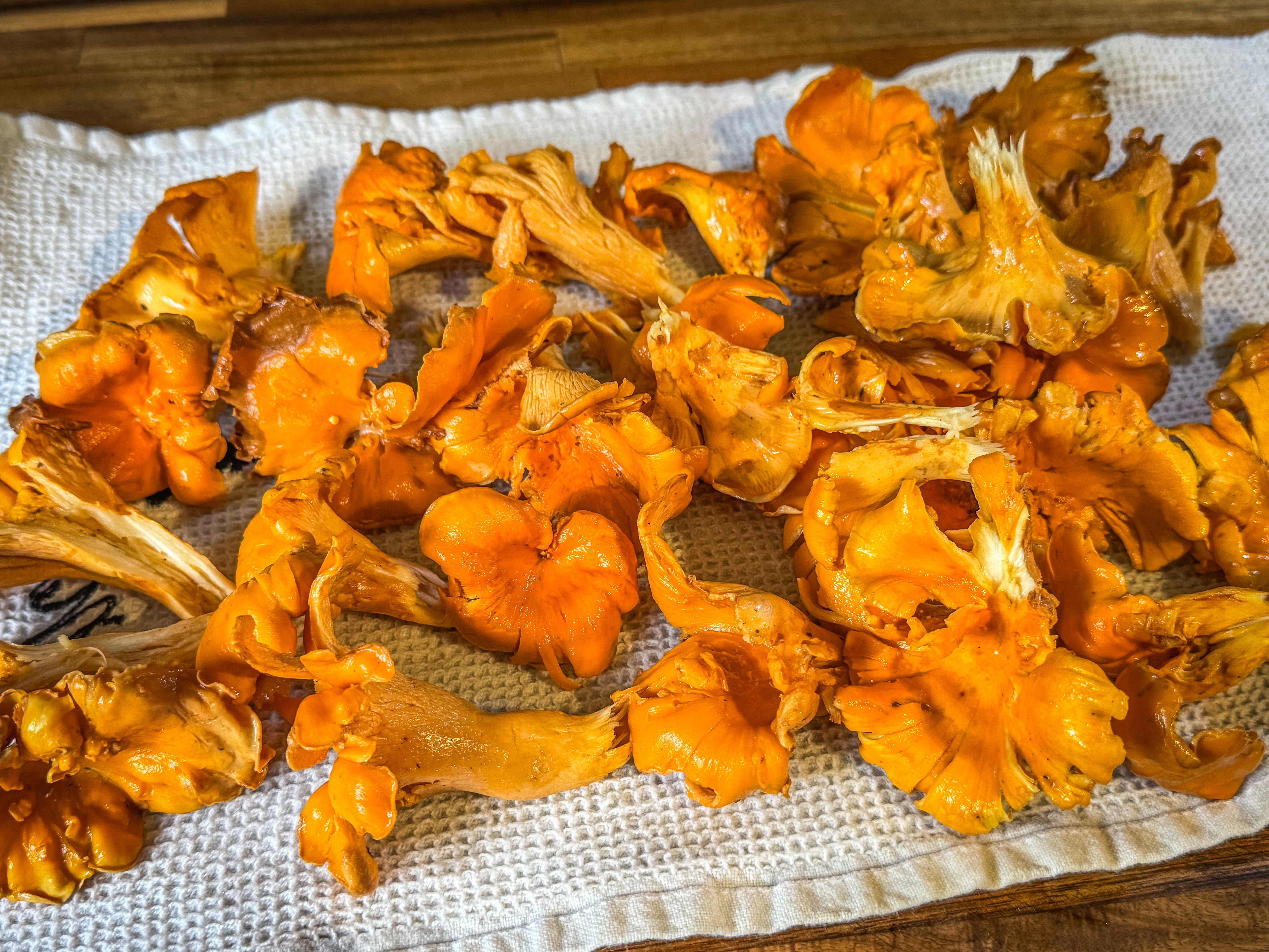 Image: chanterelle_whiskey_1