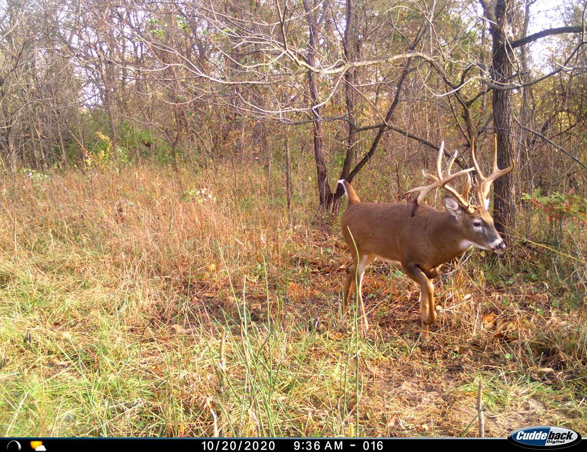 This buck was a giant during the 2020-21 deer season. Image courtesy of Chris Dussold