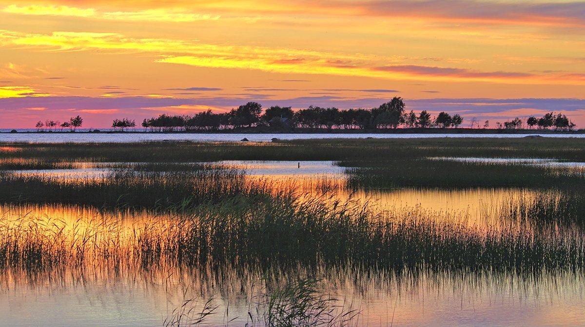 Experts agree that location is the most important consideration for buying or leasing waterfowl hunting property. Photo © Jarno Holappa/Shutterstock