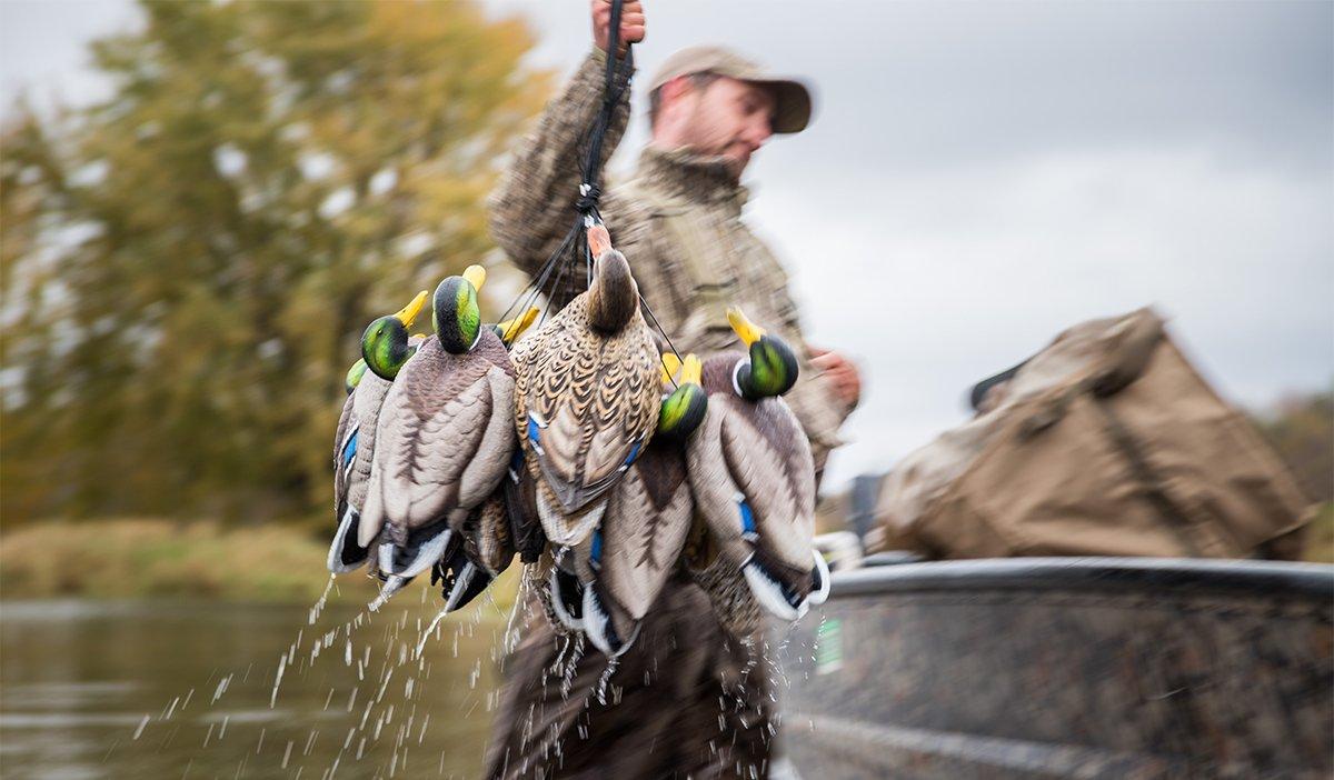Always set your decoys so they mimic what real birds are doing. Don't fall prey to preconceived notions. Photo © Jeff Gudenkauf