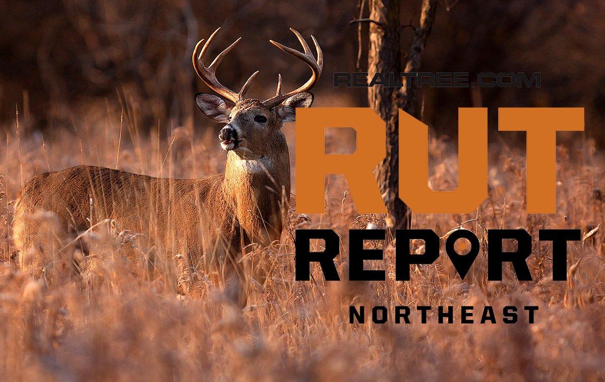 Northeast Rut Report: Take Advantage of Fall's First Cold Front - cjim_cumming-shutterstock-ne