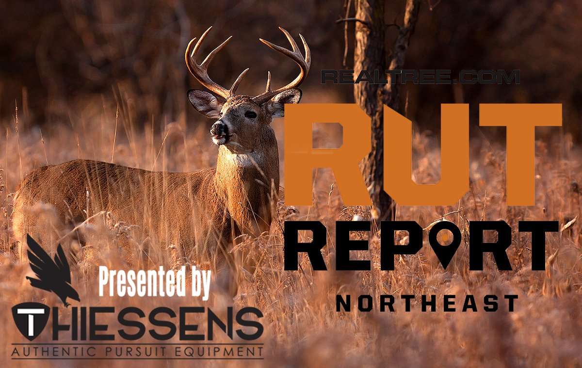 Northeast Rut Report: Deer Movement Should Spike this Week - cjim_cumming-shutterstock-ne_0