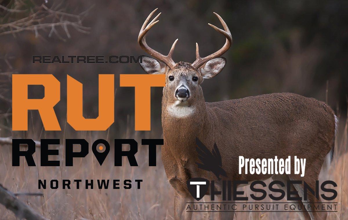 Northwest Rut Report: Bucks Moving in Montana, Slow Elsewhere - cjim_cumming-shutterstock-nw