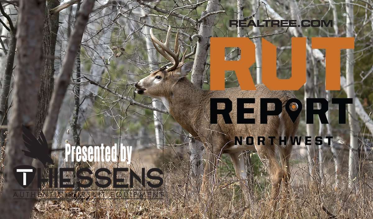 Northwest Rut Report: The Pre-Rut Is Nearing Peak Activity - Realtree Camo