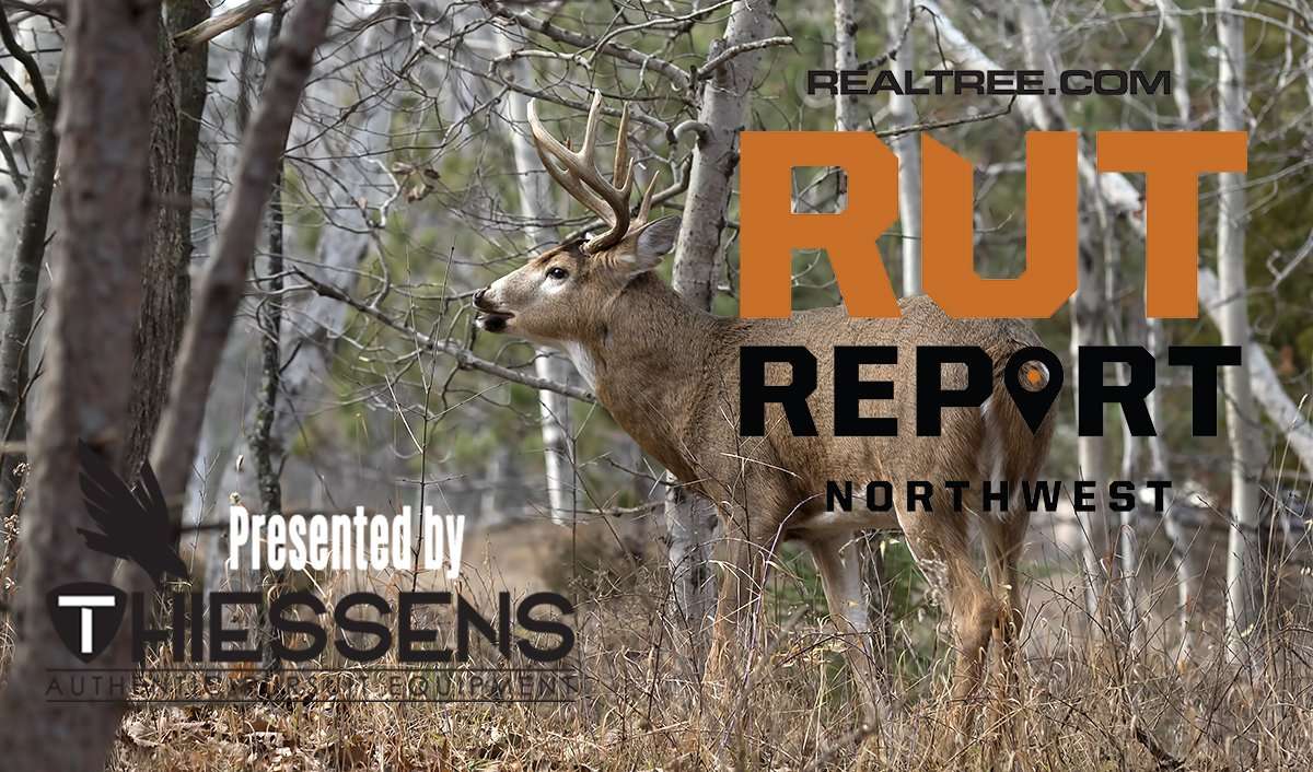 Northwest Rut Report: The Pre-Rut Is Nearing Peak Activity - cjim_cumming-shutterstock-nw_0