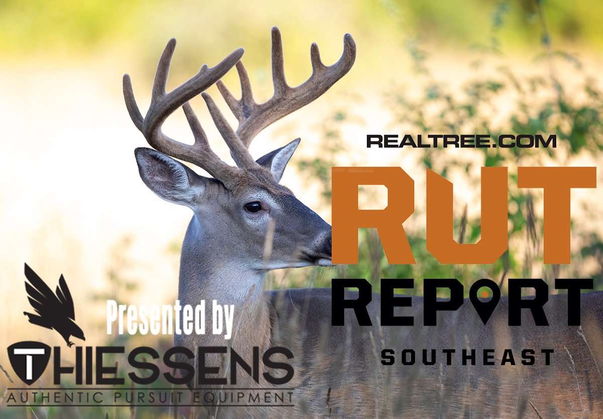 Southeast Rut Report: Mixed Expectations for Weekend Hunt - Realtree Camo