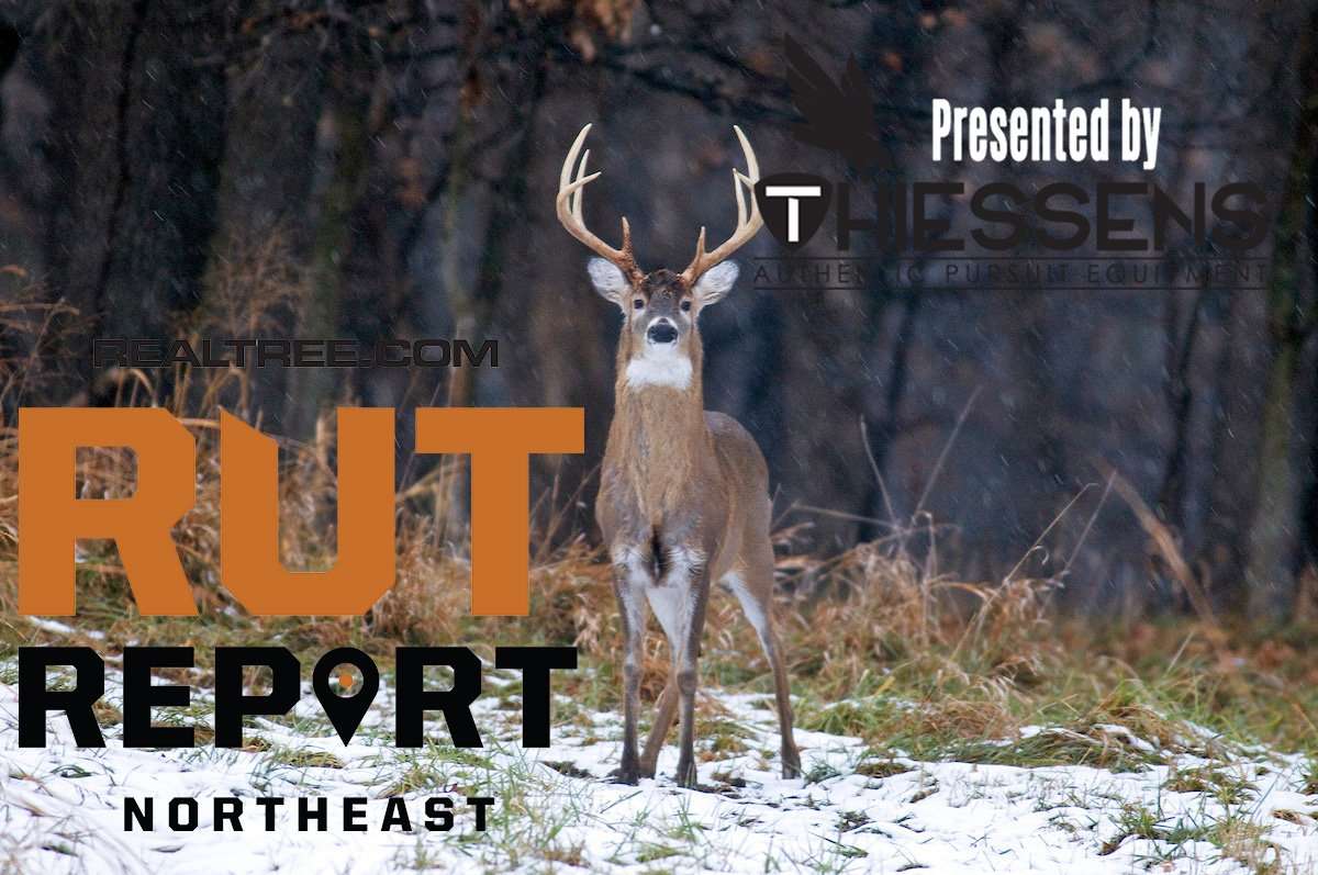 Northeast Rut Report: Little Second-Rut Action, Minimal Daylight Movement - cjohn_hafner-ne