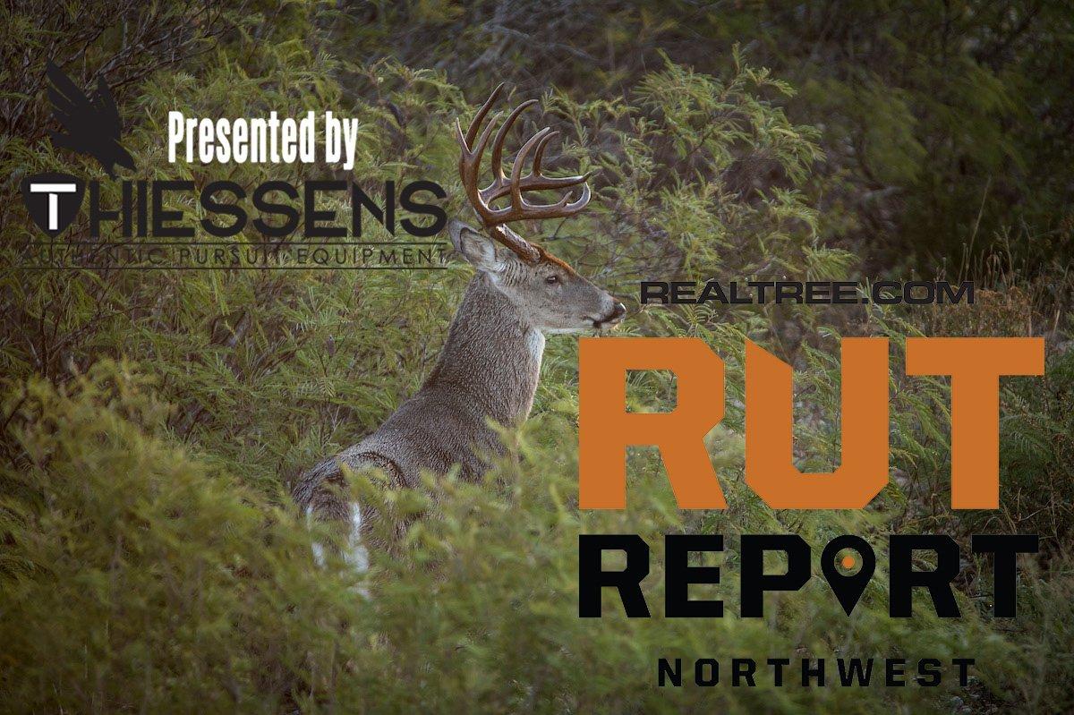 Northwest Rut Report: Recapping the 2019 Season - cjohn_hafner-nw