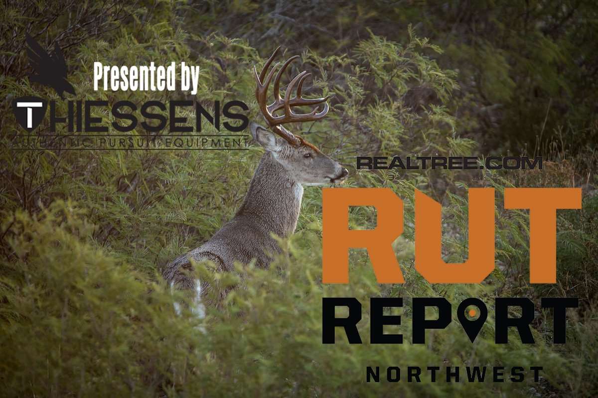 Northwest Rut Report: Recapping the 2019 Season - cjohn_hafner-nw