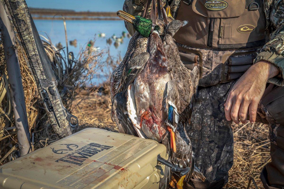 Consistently successful public-land duck hunters usually work harder than other guys, but the results speak for themselves. Photo © Johnny Carter