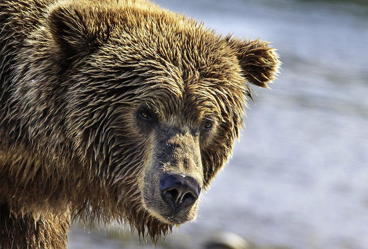 © Karen Geswein Photography-Shutterstock