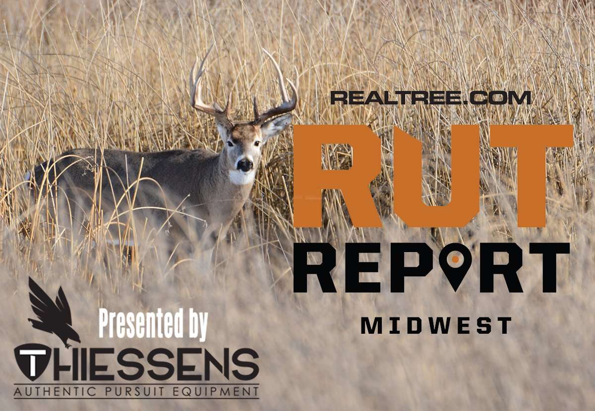 Mid Week Rut Image Midwest Rut Report: Warm Weather Could Stunt Weekend Deer Movement ...