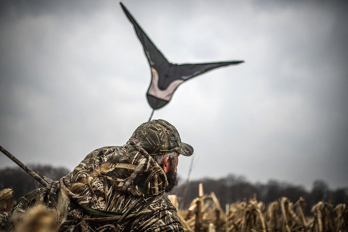 Use motion to attract the attention of birds flying from a roost to a feed. Otherwise, they might pass by. Photo © Bill Konway