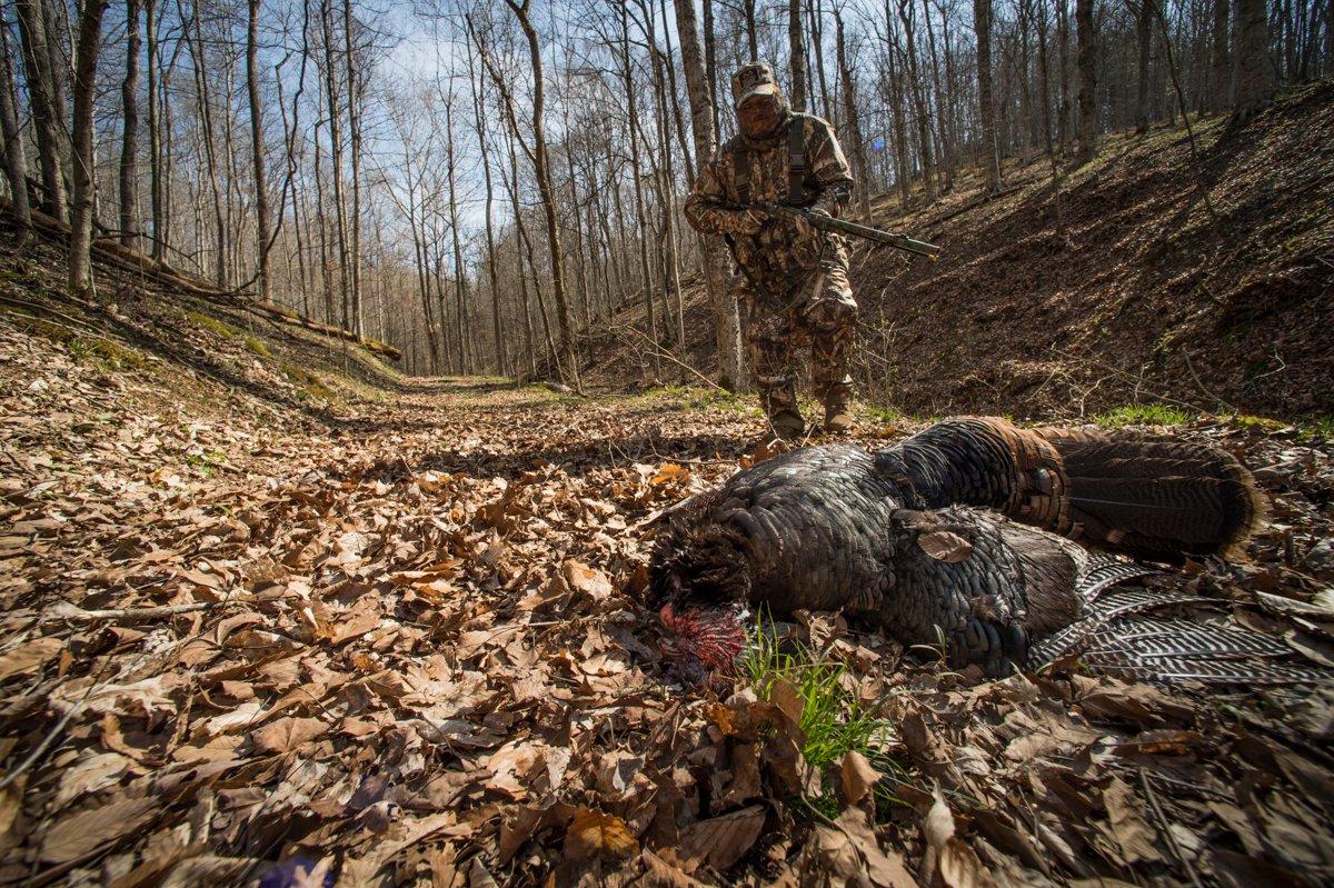 Wounded turkeys can be difficult to recover, but you have to try. © Bill Konway photo