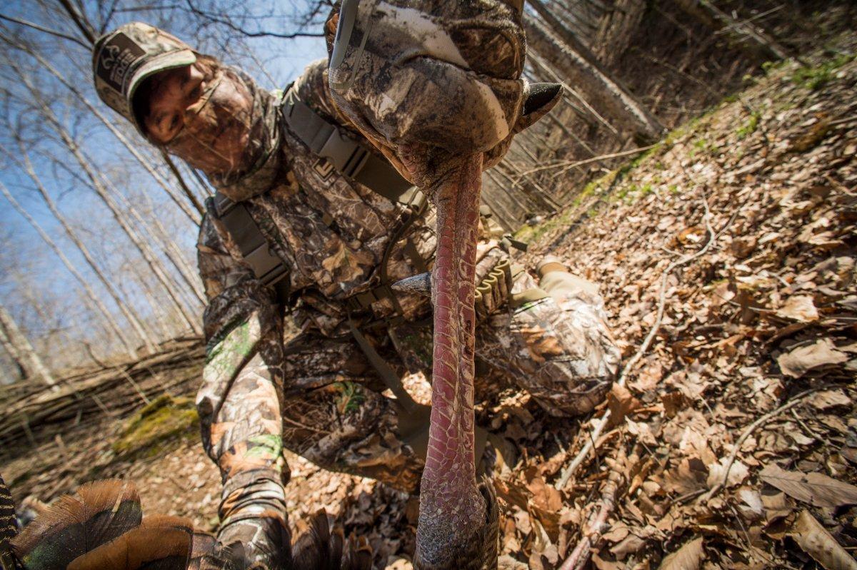 Spur check. © Bill Konway photo