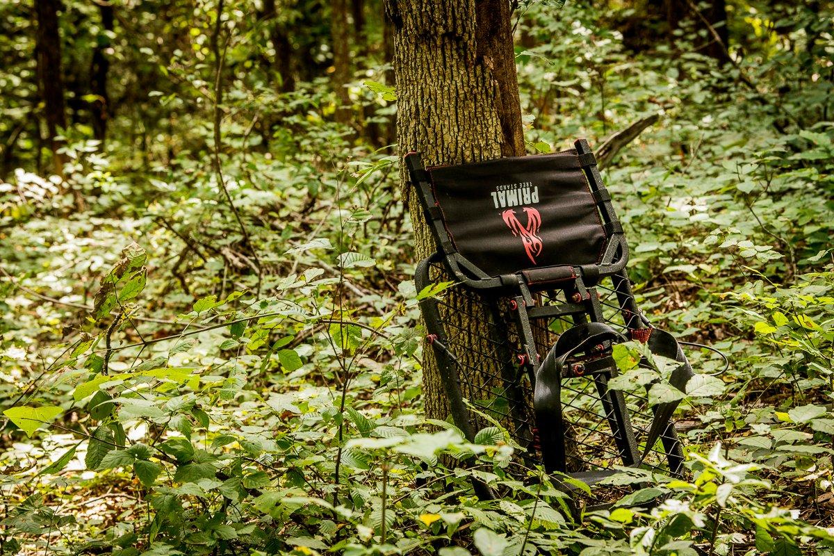 Choosing the right tree for your stand is a matter of practicing safe hunting procedures. Image by Bill Konway
